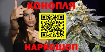 гидропоника Нальчик