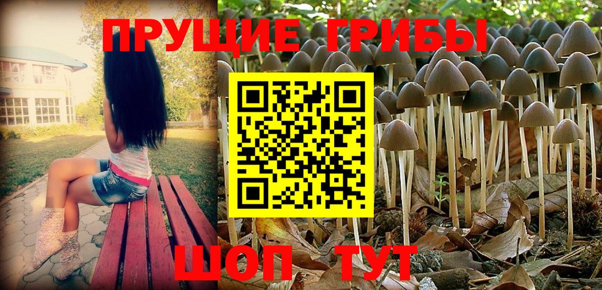 Чехов  Галлюциногенные грибы прущие грибы  Галлюциногенные грибы мухоморы  Вход с VPN 