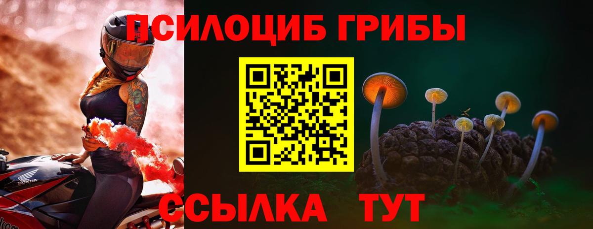 Галлюциногенные грибы GOLDEN TEACHER Чехов